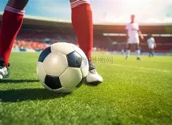 日本青森大,学迎福原爱,任客座副教,好博体育官网,好博体育直播,体育赛事直播,足球直播