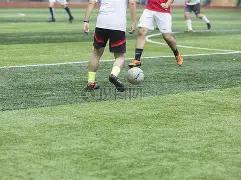 澳网升级奖,金池,单打冠军可,好博体育官网,好博体育直播,体育赛事直播,足球直播