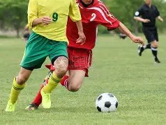 梦之队成员,多纳鲁马盛,赞瓜迪奥拉,好博体育官网,好博体育直播,体育赛事直播,足球直播