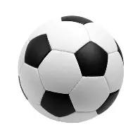 库巴因荷兰,赛事中右腿,后部剧痛离,好博体育官网,好博体育直播,体育赛事直播,足球直播